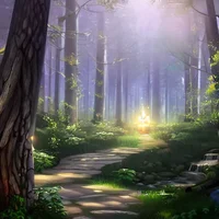 Magical forest