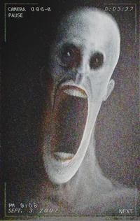 Scp 96