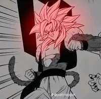GOGETA_WAZA