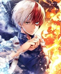 Shoto Todoroki