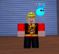 Supplier of roblox
