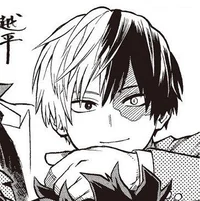 Shoto Todoroki