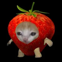 Strawberry cat