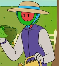 Farmer melon