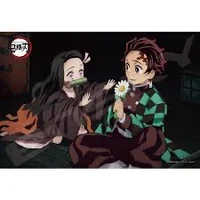 Tanjiro and Nezuko