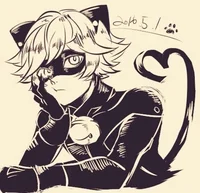 Chat noir 