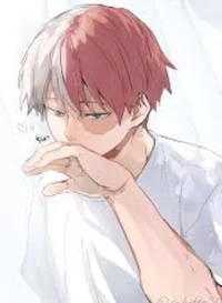 Shoto Todoroki 