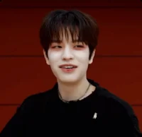 Vampire Seungmin 