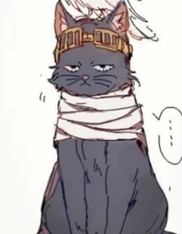 Cat aizawa 