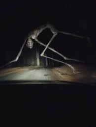 CountryRoad Creature