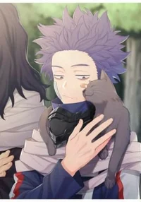 Shinsou sibling ua