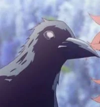 Kasugai Crow