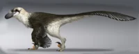 Dakotaraptor