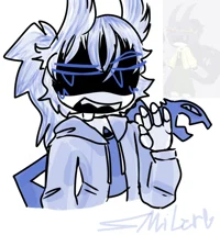 Serial Designation S