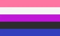Gender Fluid