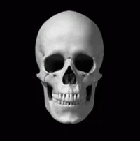 Mrskull