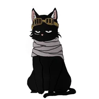 Cat Aizawa