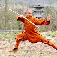 Shaolin Monk Warrior
