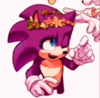 Sydney THE HEDGEHOG 