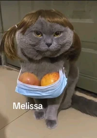 lyssabo_bissa