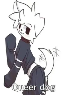 Queer dog