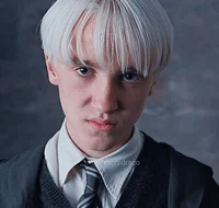 Older Brother draco
