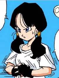 Videl Satan