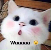 Beiucuaanh