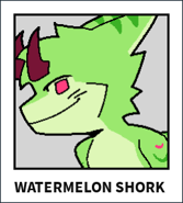 Melon Shork -KP-