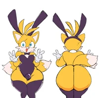 Tails in a bunnysuit
