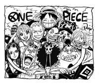 OnePiece x YN