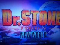 Dr Stone