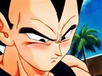 Vegeta BG