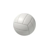 Pelota de voley 