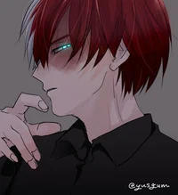 VILLAIN Todoroki