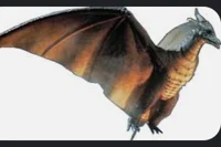 Rodan 
