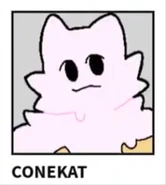 Conekat -KP-