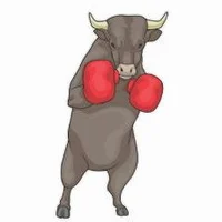 Bull Pro Boxer