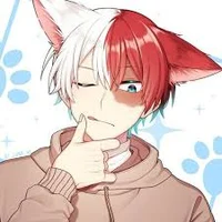 Todoroki