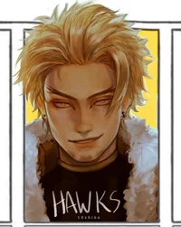 Hawks 