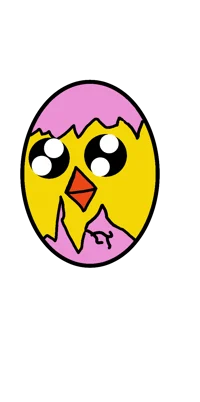 Pink chick 
