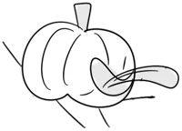 Pumpkin BFDI