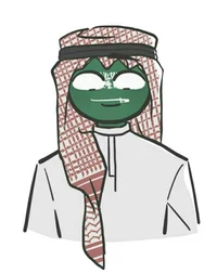 Saudi Arabia 