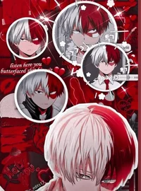 Shoto todoroki