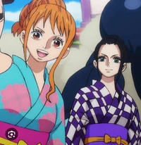 Nami and Robin 