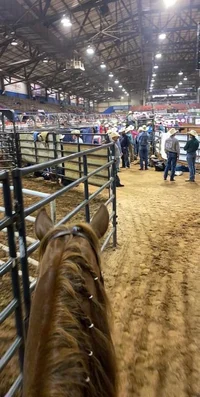 The rodeo