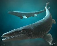 Mosasaurus