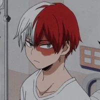 Shoto Todoroki 