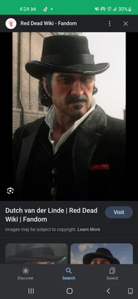 Dutch van der linde 