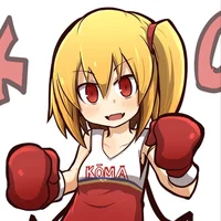 Pro Boxer Flandre